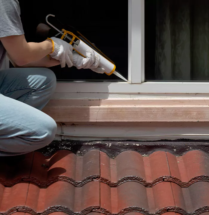 Roof Window Services in Danville, California