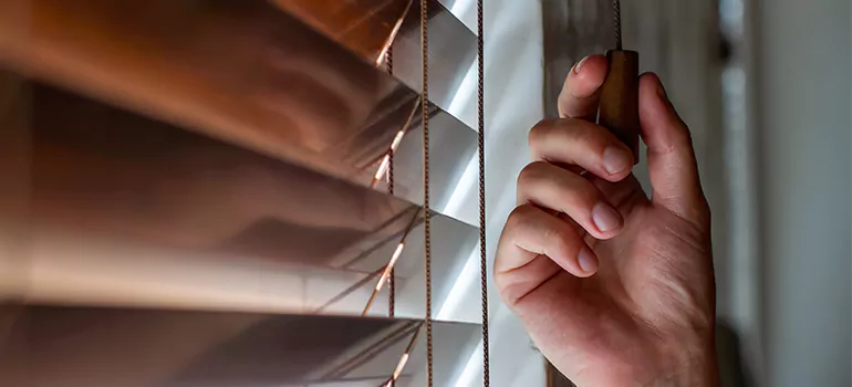 Double Roller Blinds in Danville, CA