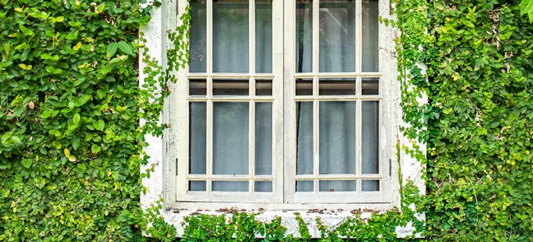 Garden Window Repair Near Me in Danville, CA