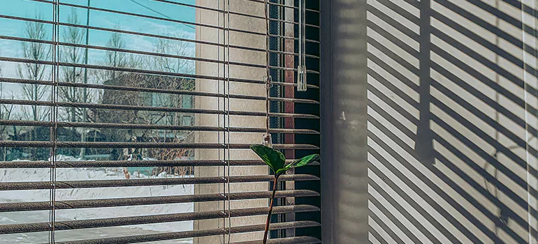 Commercial Window Blinds in Danville, CA