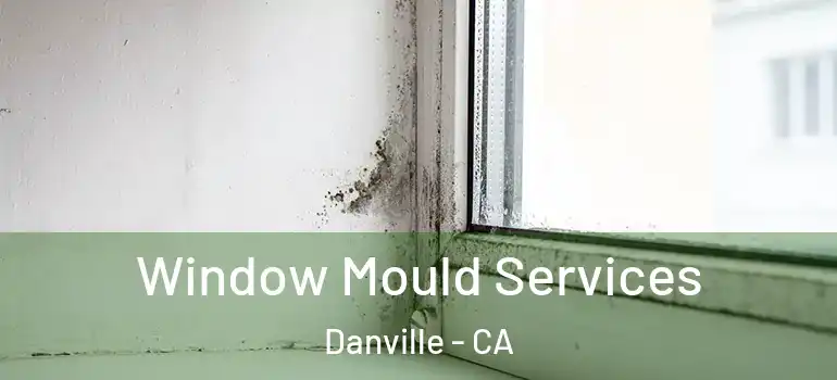  Window Mould Services Danville - CA